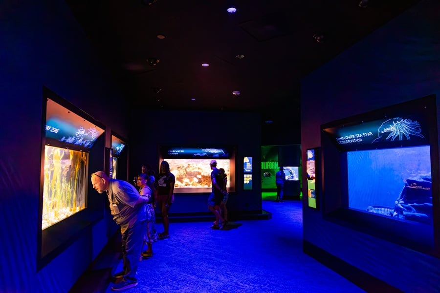 Adam R. Scripps Living Seas Gallery