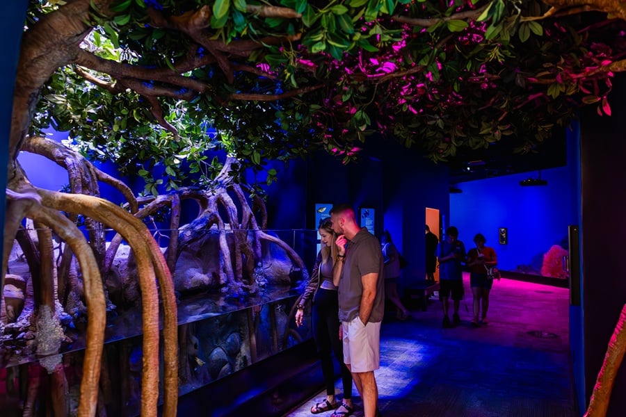 Adam R. Scripps Living Seas Gallery