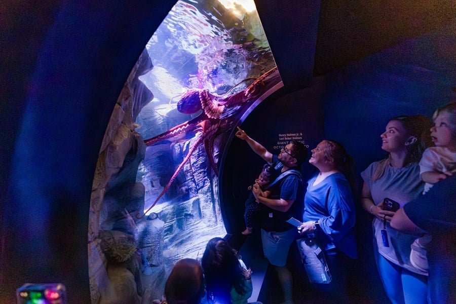 Adam R. Scripps Living Seas Gallery