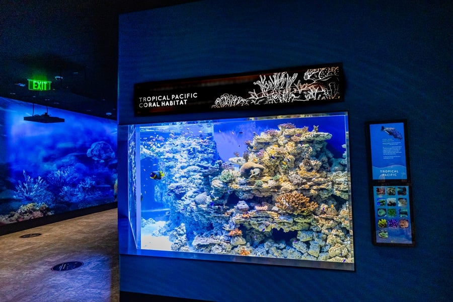 Birch Aquarium
