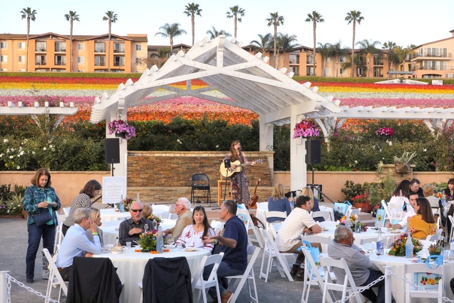 live music series at the flower fields